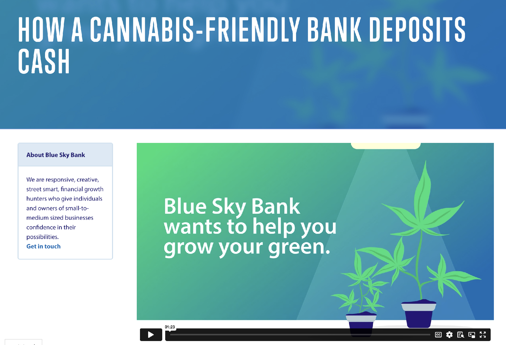 Blue Sky Bank blog: How a cannabis-friendly bank deposits cash